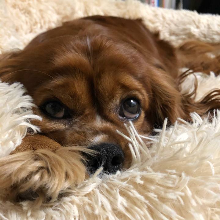 4dbbc312 94d3 495d af6e 1e1125af34da 1618317675346