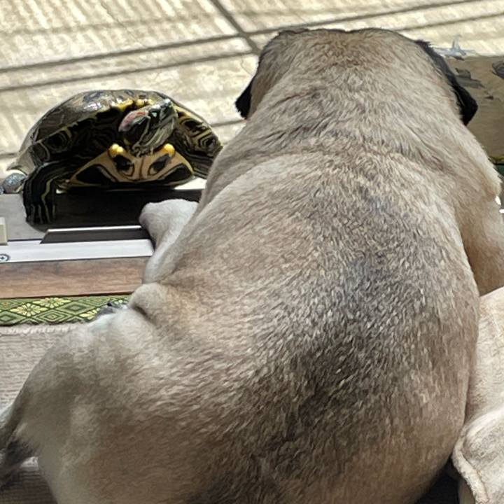 4dbbceac 558a 40a5 bd31 0972ef92a60a 1651714247874