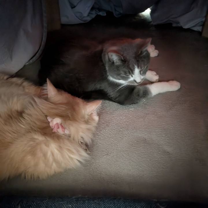 4dbbe444 0e91 42e9 b2fe fe2f60707252 1770034334220