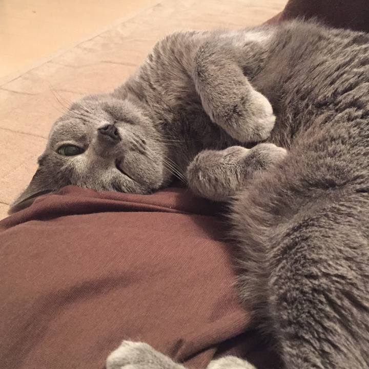 4dbbe86a 79d2 4f0b b112 f0f2c99bf0a4 1522105650288