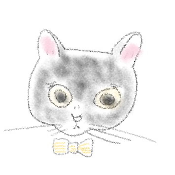 4dbbfafe 060c 42ca 90c6 41202e6b6156 1658920036680