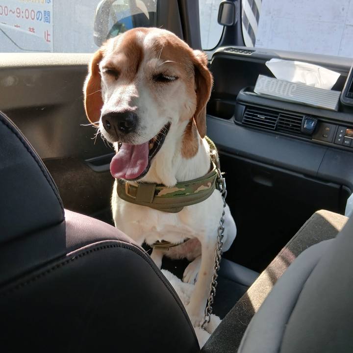 4dbc7536 1c90 4917 834b 3c47818303cb 1770048170347