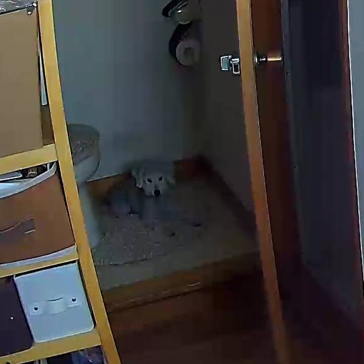 4dbc7d4a 4318 4c46 a360 c675fd37d677 1635393071901