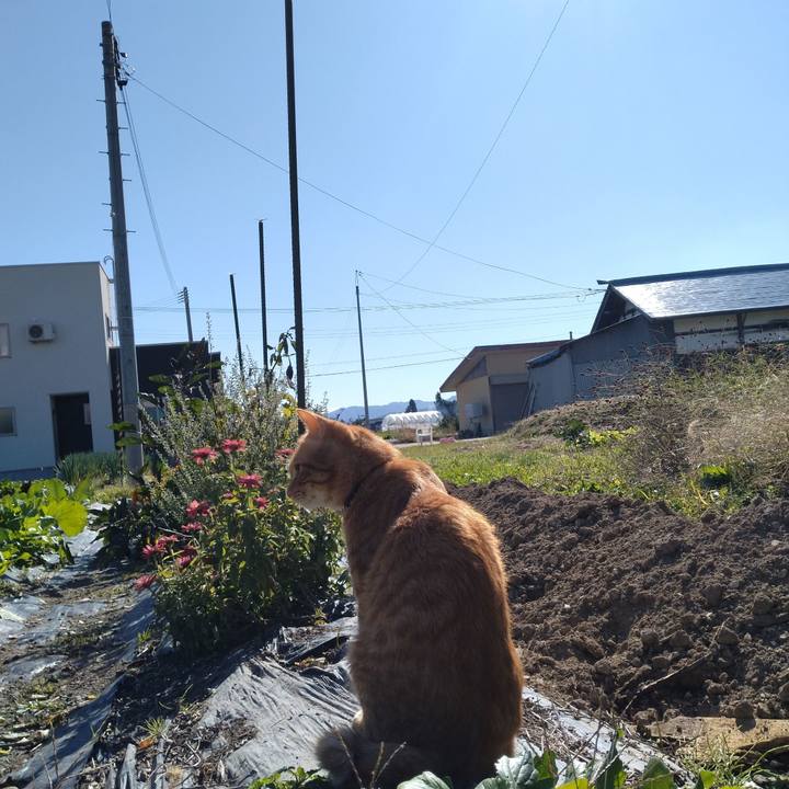 4dbcb816 fb34 453a a3e4 e039b1d684fd 1666758547803