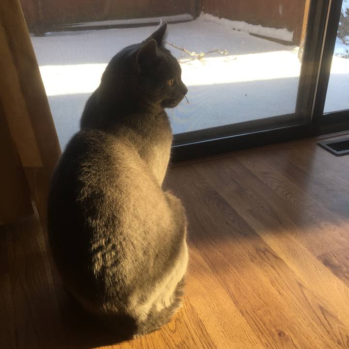 4dbcc982 eb55 4b6d b9b8 501b9ac37d50 1633133678736