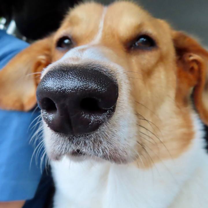 4dbcfd59 283d 482d 92ee a2979fca07bc 1624060422083