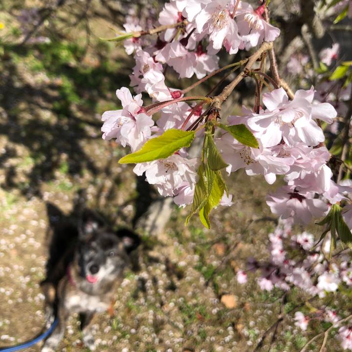 4dbd4e40 216f 48dc b664 8bbf9e4f069d 1650121053115