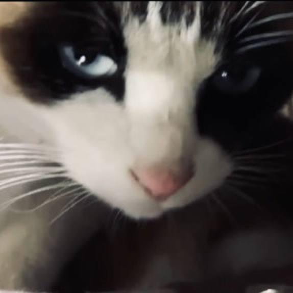 4dbd5893 1ad8 47f2 8e74 d9774cdd986f 1740129408803