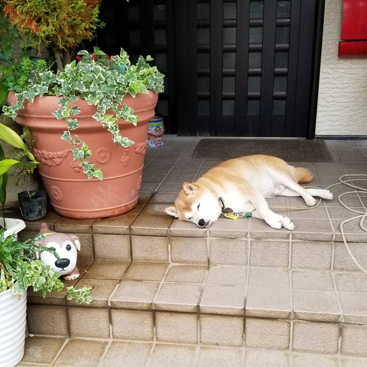 4dbd65e0 a340 4174 9ff9 3648c42cd11b 1628901082027