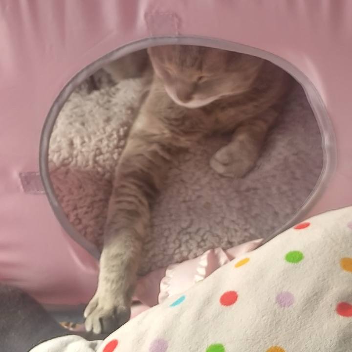 4dbd7528 d032 4b4e 8217 823e8b1d1b81 1672712559969