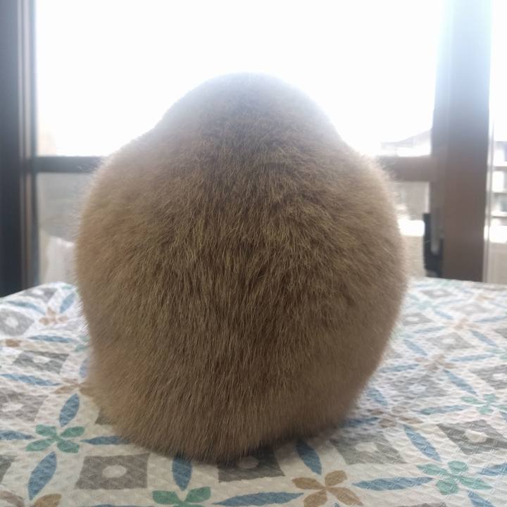 4dbd9d7e 1bec 4060 8af0 59c572580e84 1514275439986