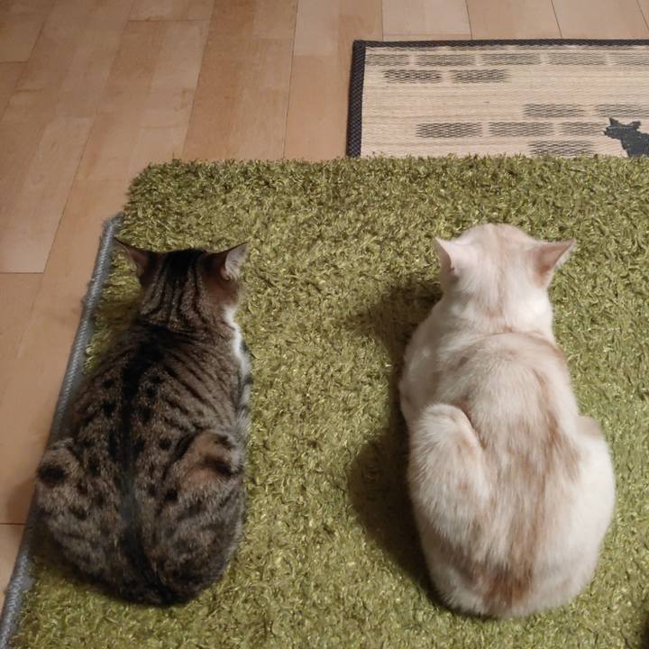 4dbe1c93 288c 46cb 8607 c1da235ac5ff 1639490057369