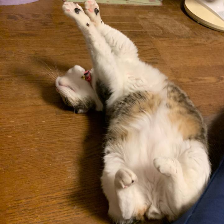 4dbe29e4 6afe 4258 9c10 14a79ee6bd35 1691906644555