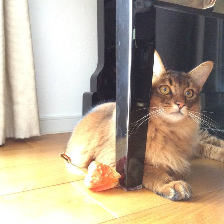 4dbe5a62 0a41 4df7 a30b e5ff007041c5 1596533841570