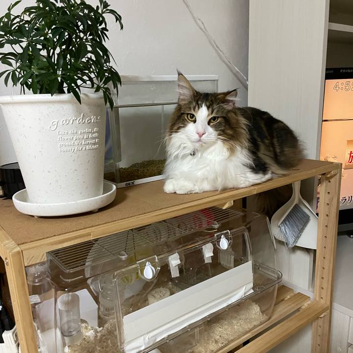 4dbe765f 90d7 495f 8e8b 4f8e28475971 1645646777113