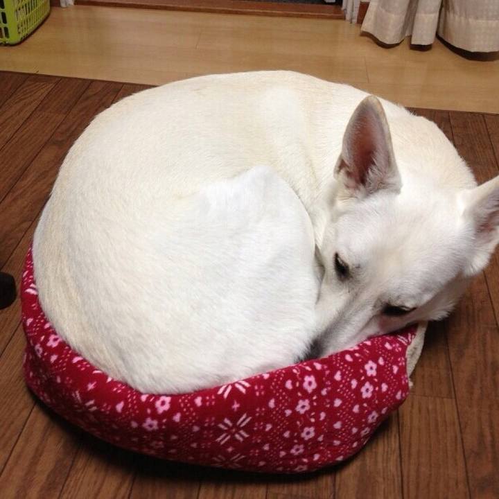 4dbea6c7 f47b 45a0 99cf 8df69abd420c 1564748357856