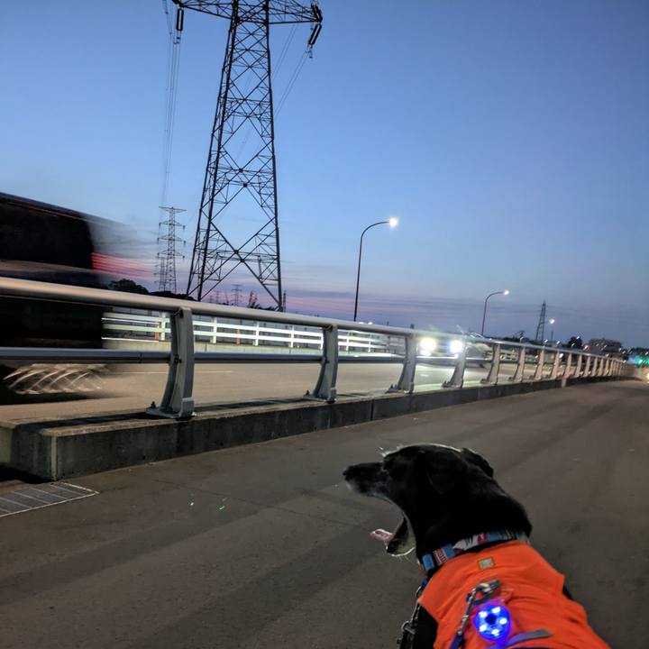 4dbebd55 7078 477a 8698 4ce8bac17916 1747133033099