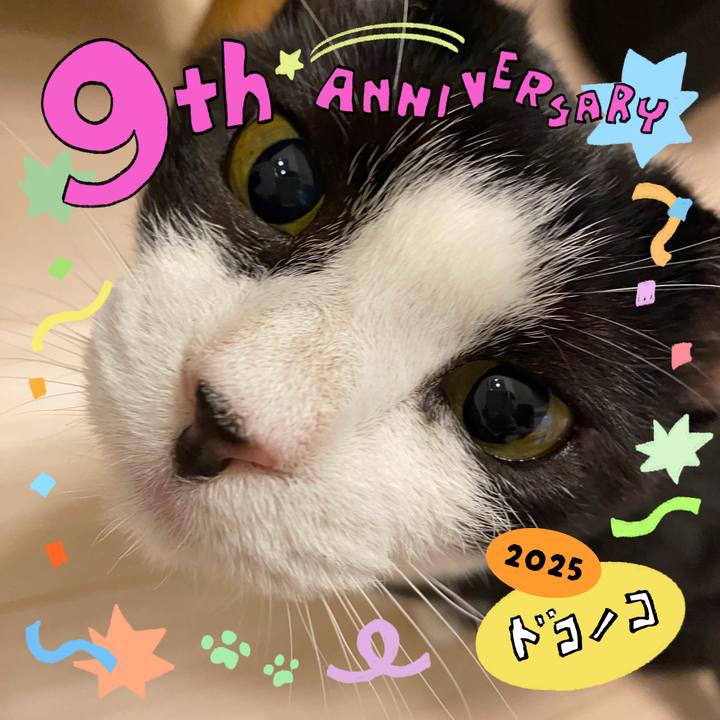 4dbecdff 06a8 4a13 a6ed ed608b2ede49 1749210507854