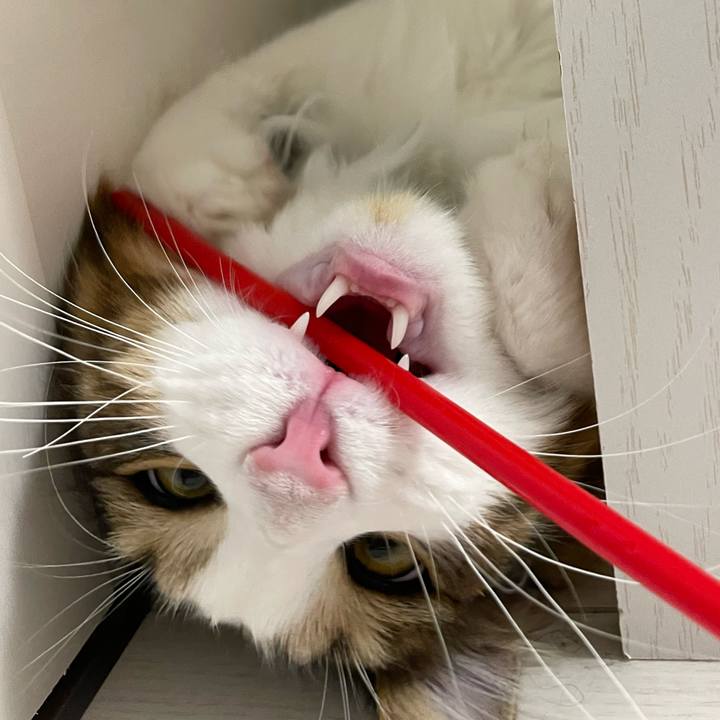 4dbedd66 783d 4571 abdb 647a4ae0c2ae 1648817703277