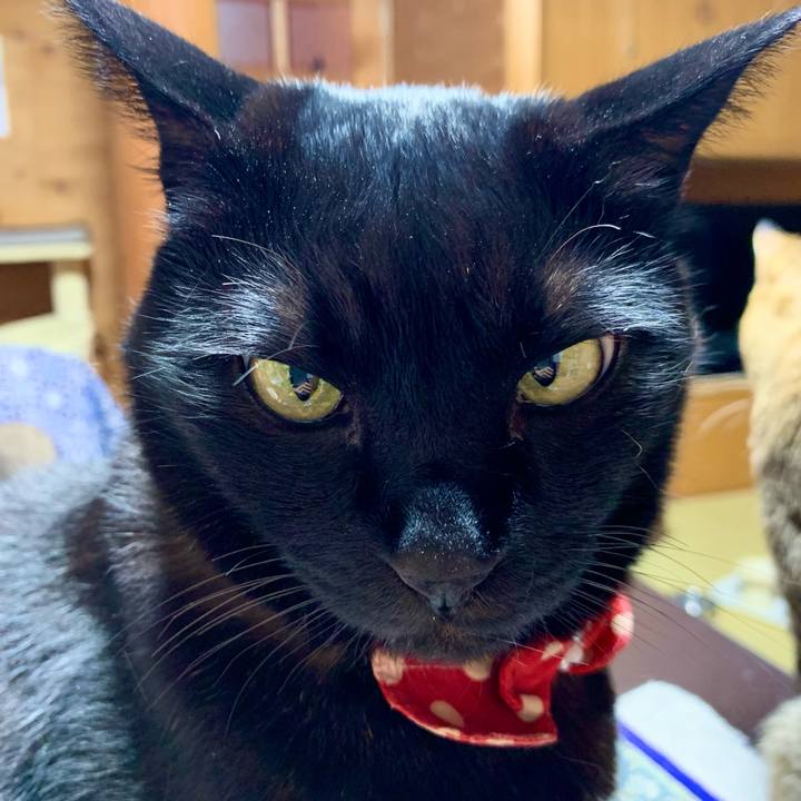 4dbef331 164f 4e12 9e26 0dad1d3d882a 1679145469470