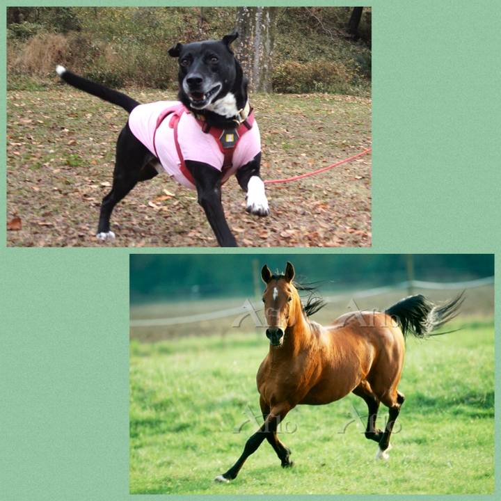 4dbf227e 6863 4607 8185 aa6dabc65b1a 1703385609573