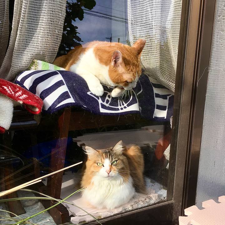 4dbf49db 720e 4de4 9748 0b544c3eafb7 1623137775234