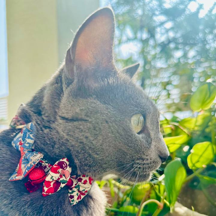 4dbf5aeb e7f3 4303 8ff2 3514b8613591 1764124677739