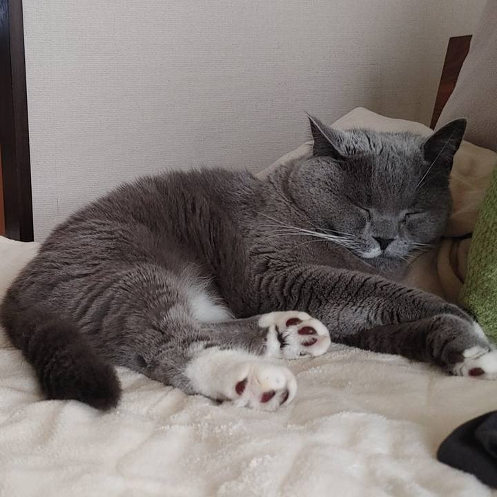 4dbf70d5 35ba 4c9f b36d b45f83ea1c5d 1665209790838