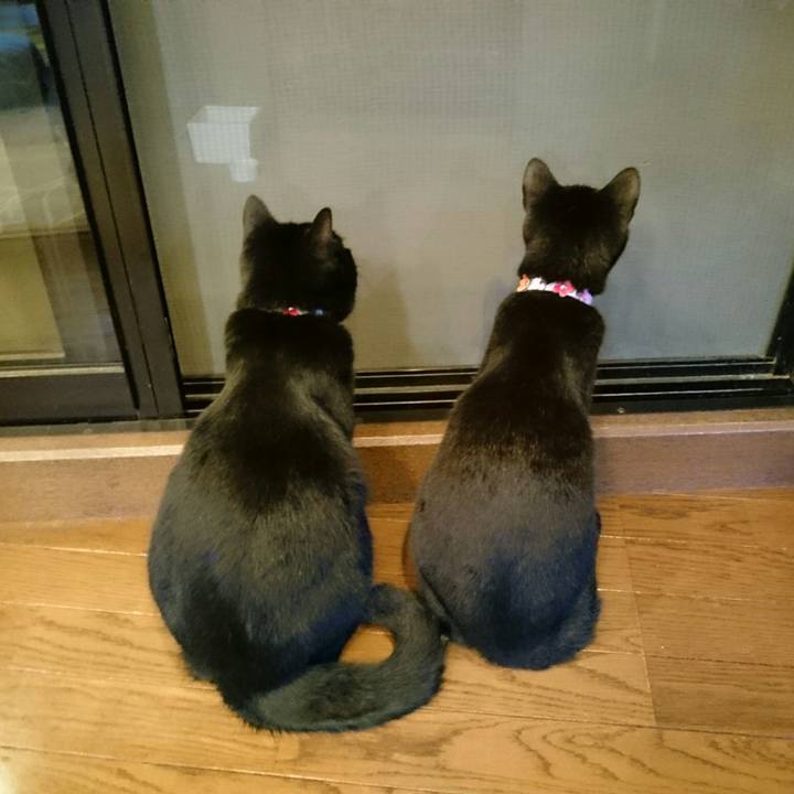 4dbf83ad 9105 44ab b984 fe7a3d455198 1526564188958