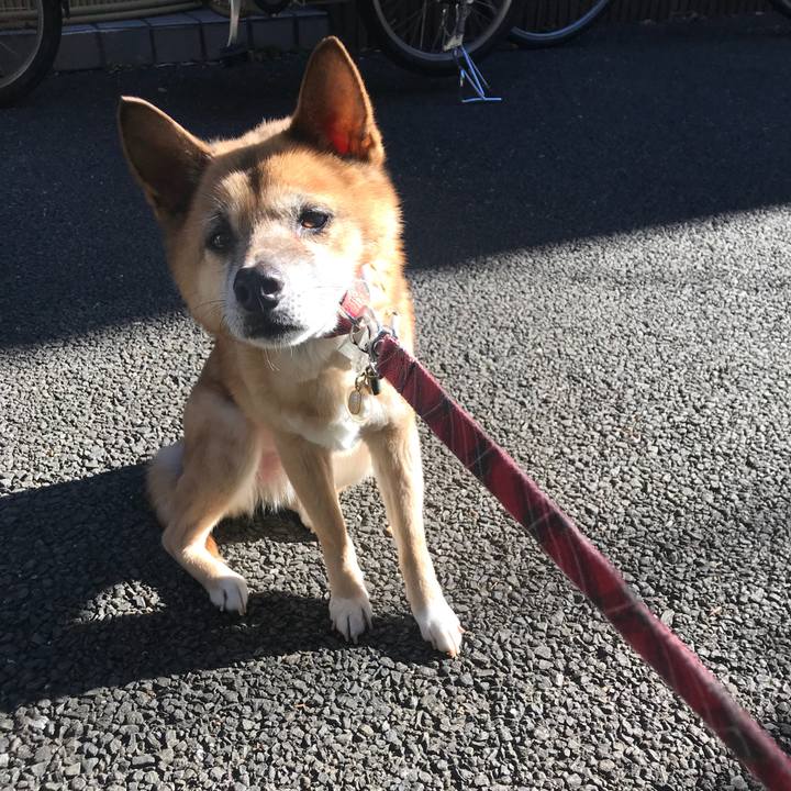 4dbf9107 fc7e 41b5 a70f 62cebd99470a 1514853720806