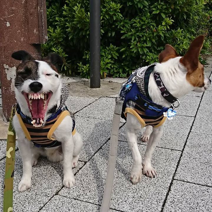 4dbfb375 cf0e 4b33 9cf9 4cb33129047f 1527291298198