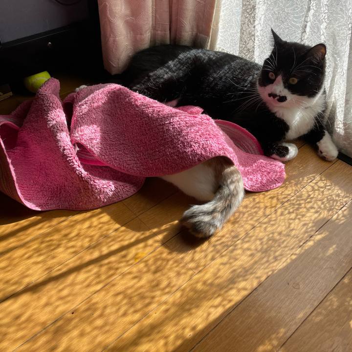 4dbfca37 8531 4355 9132 74bd45f7c8f6 1666224988751