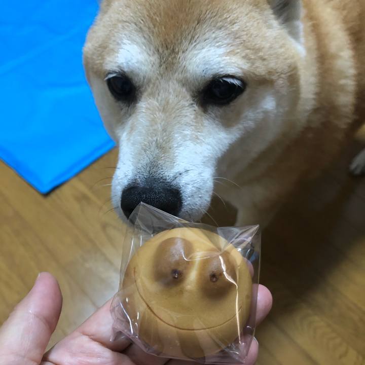 4dc00f98 d303 49ad b3d7 d6e764982770 1595651675365