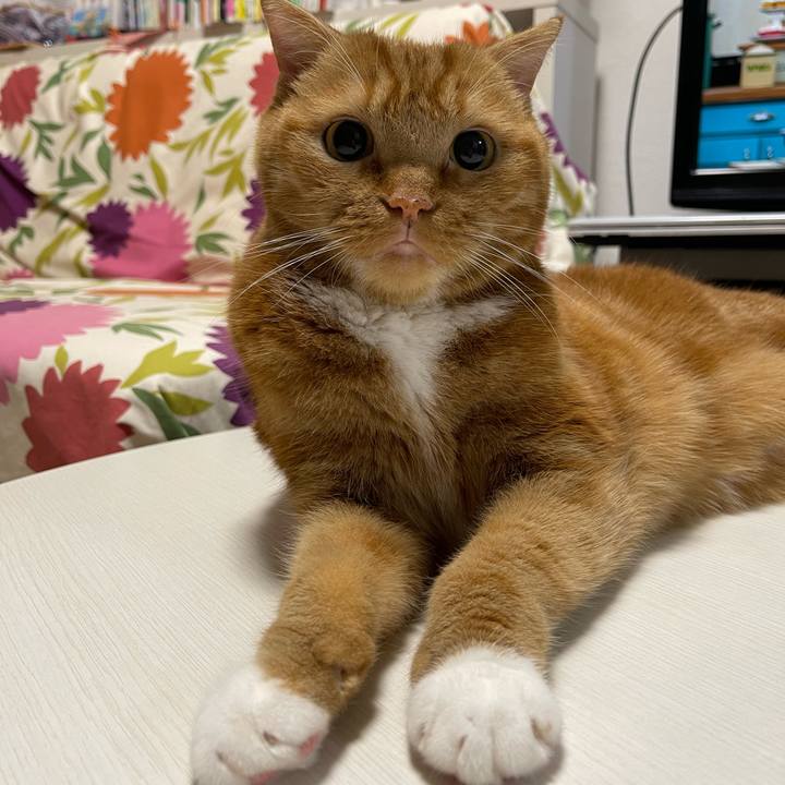 4dc01981 b8ea 4935 a38d 02b699add054 1663247444543