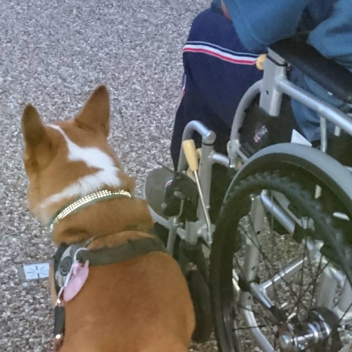 4dc0462b 3245 450b 9106 66044c26c97f 1661048426249