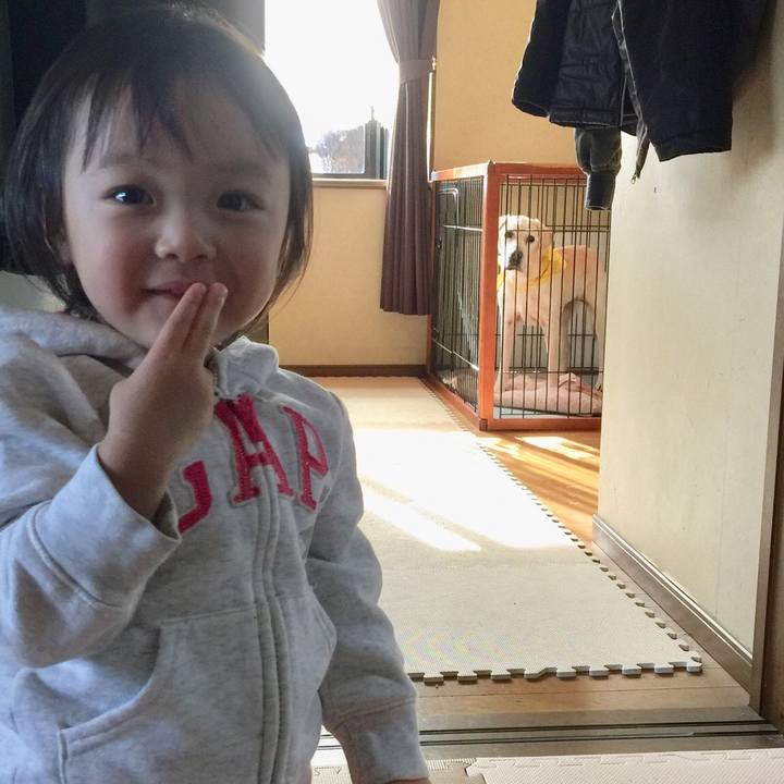 4dc07e50 5ab6 4664 8641 e93c254abf57 1543045983533