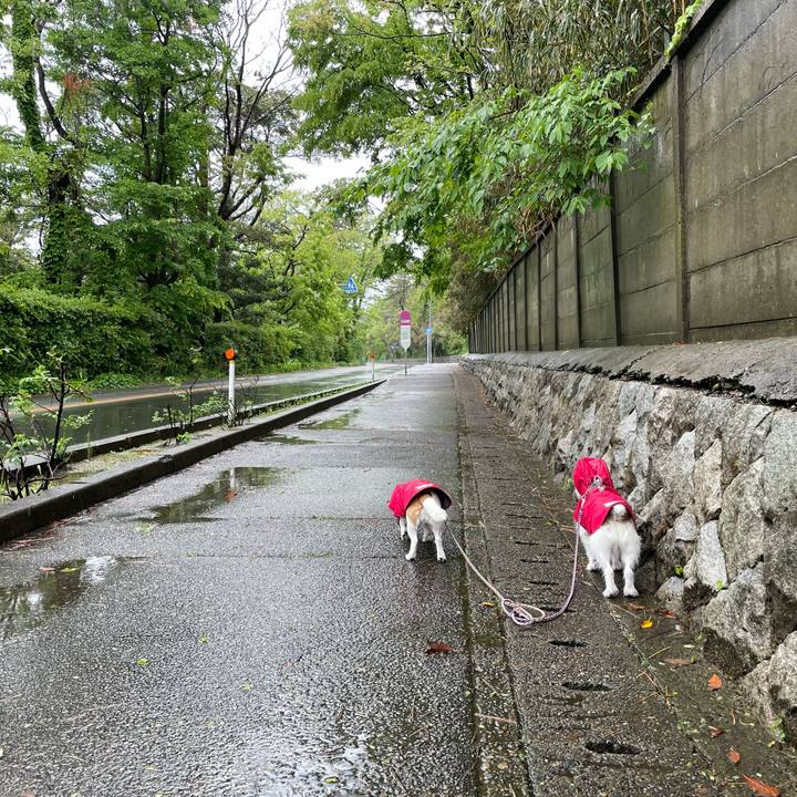 4dc08a0f e51a 4c3d b1a2 d02e98912fc4 1683499444815