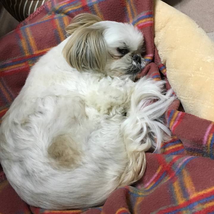 4dc0913a 4547 4589 a8d8 c3595af25e1d 1551701591795