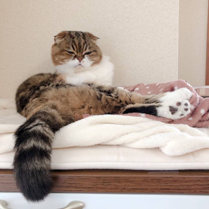 4dc09c08 986e 4f5a a0fd c378f2d5787a 1590326930933