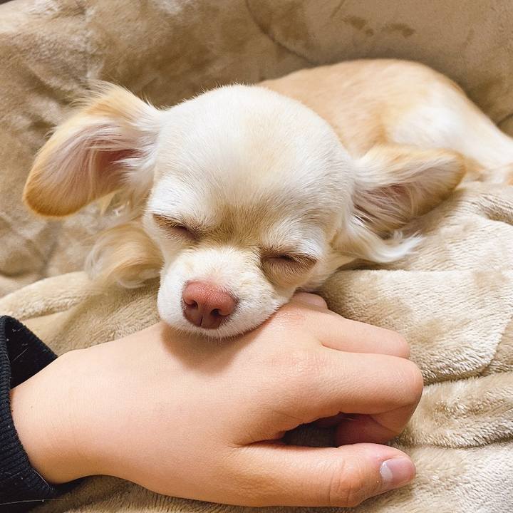 4dc0bdc6 c187 4615 86be 8982e04d6e31 1616295006645