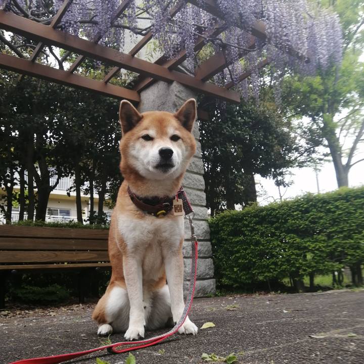 4dc0c5fa d676 415f b5ad f6bd5edd602b 1682525361467