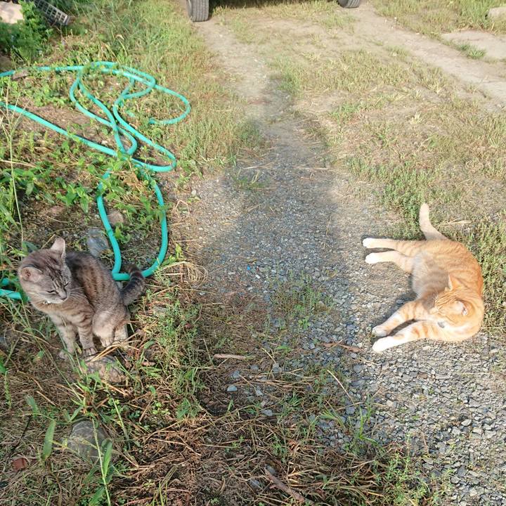 4dc0dca6 da89 4481 8291 f51568ce55ac 1567907558740