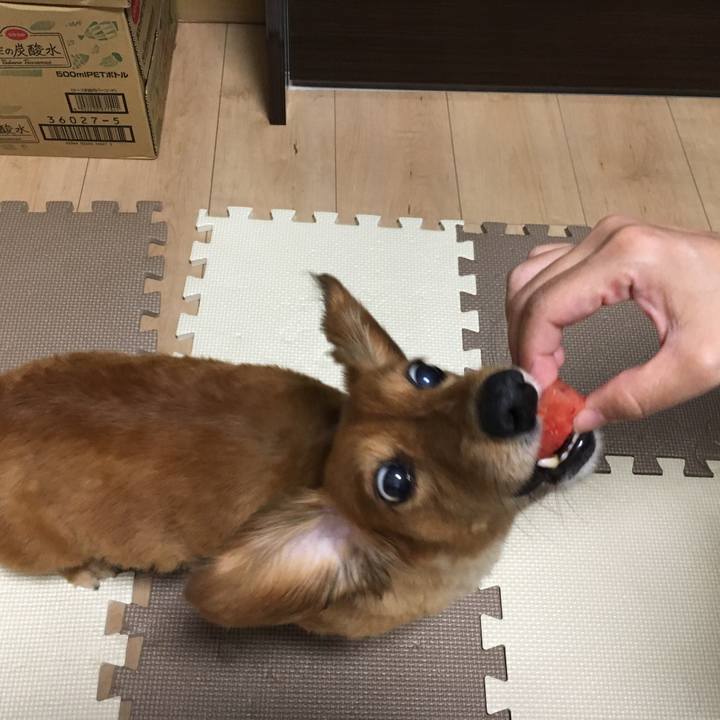 4dc1461a f7e6 4890 a123 78fc8074773e 1532432148194