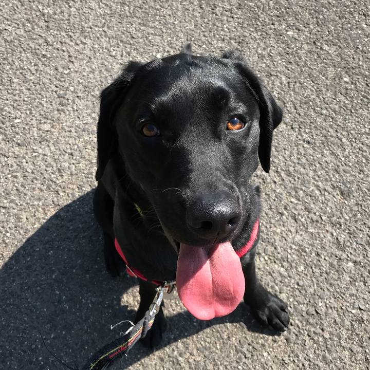 4dc1878a 88ec 49a2 b5b3 c2195b0ec5e0 1523171300306