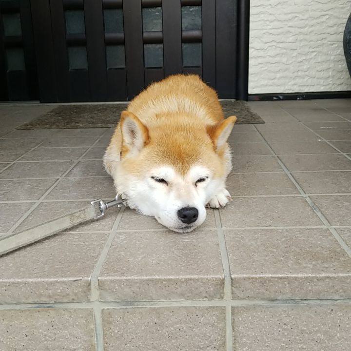 4dc18d19 3fa4 4871 9f2c f83cf9c06132 1563590955640