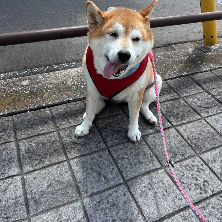 4dc1aed2 2ef4 49dd acac 302a2cb63187 1727058582877