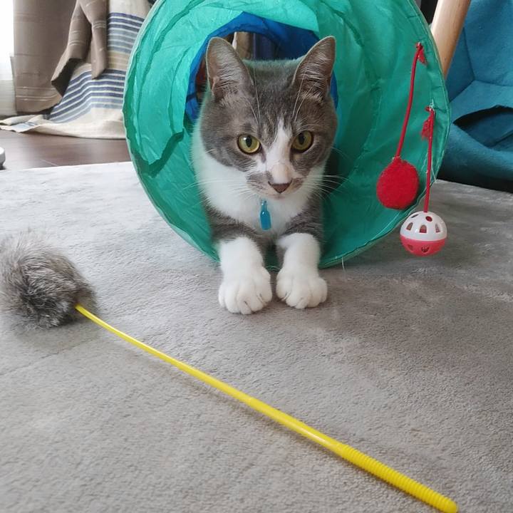 4dc1c360 7fca 4eb7 9993 9d886b4b6735 1591831379899