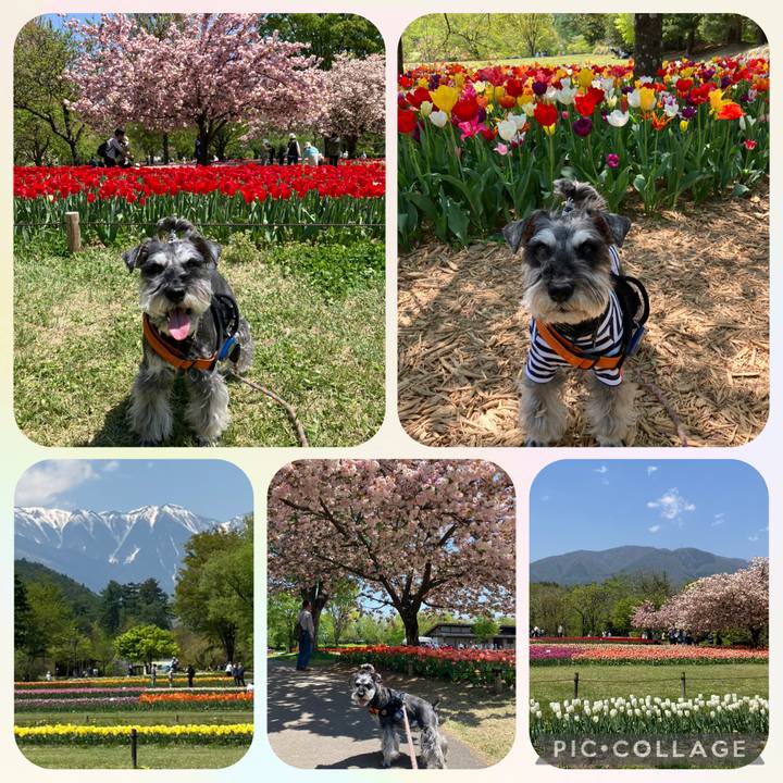 4dc1e444 c17c 4b05 80ab 3f7ccc79f347 1746623656099