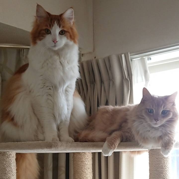 4dc1f6f5 fe09 420f 8387 3011d44f4fa7 1517546396032