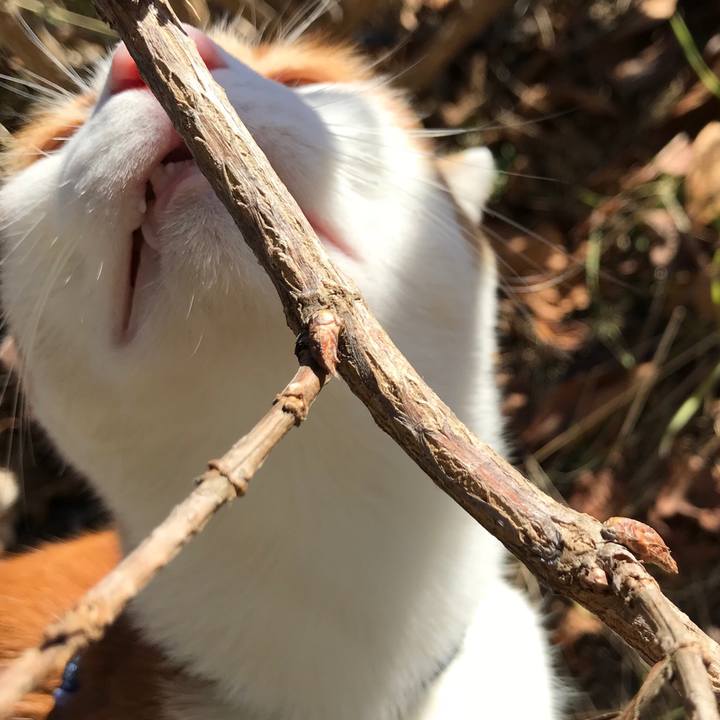 4dc20c7b f648 4f0c 902a cbaecb022ddc 1513229717536